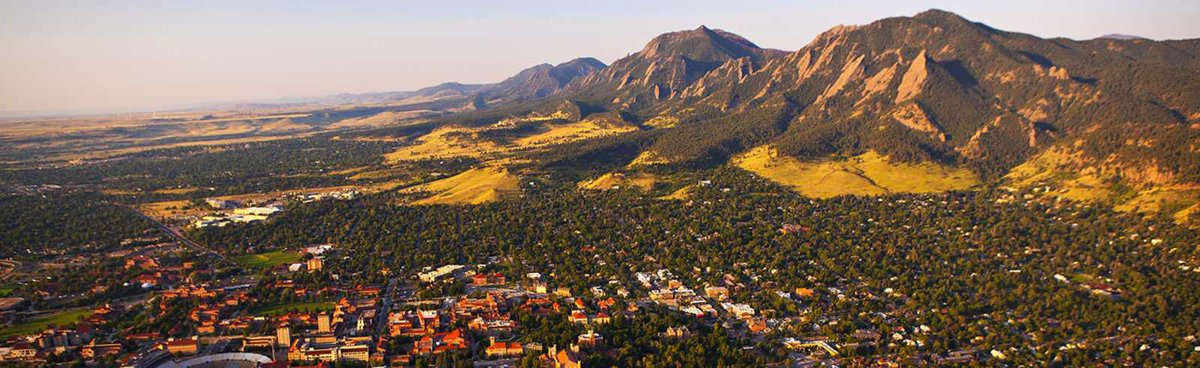 Josh Shepperd tweet media