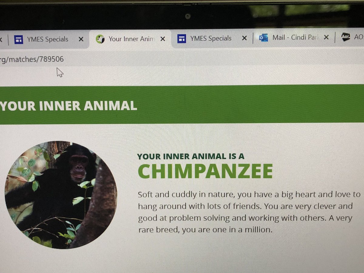 cindirparker's tweet photo. What fun finding our inner animals during our @mill_yates Specialist Hour 11am- 12noon! It’s been an amazing #YMESEarthDay already!❤️🌎❤️#wildaboutanimals #imachimpanzee #softandcuddly #workswellwithothers
#wedreamBIGatyates https://t.co/8cMQDicfv9