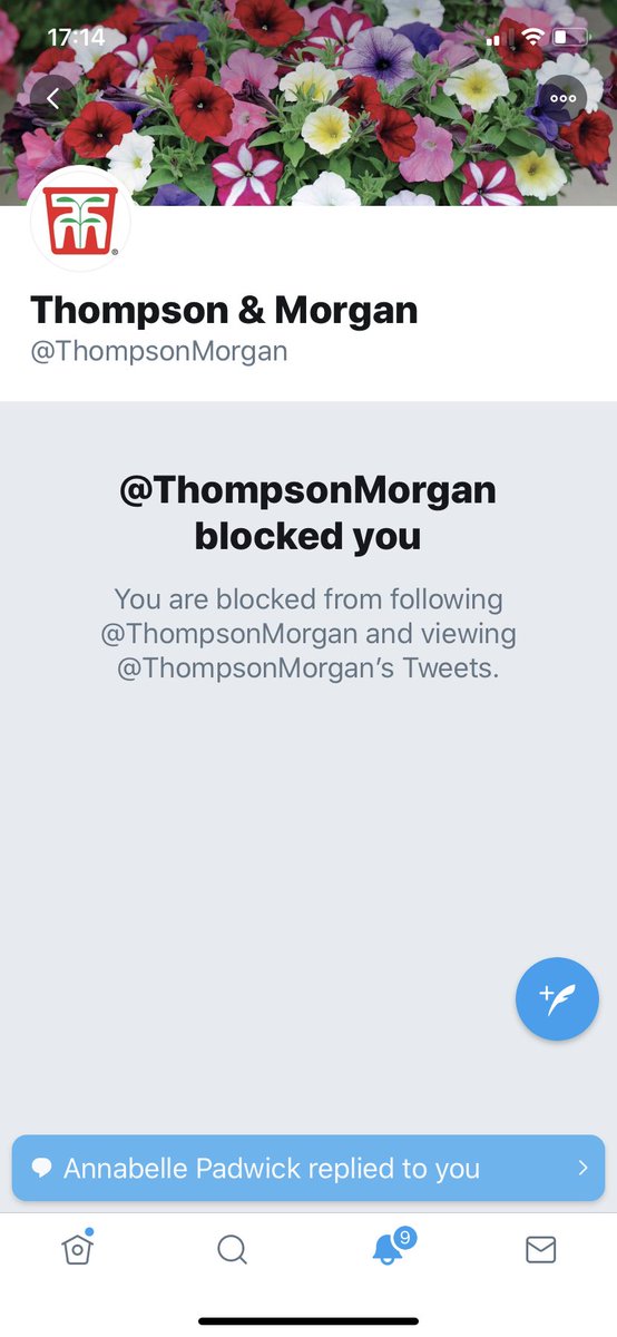 Saralimback's tweet photo. @Mistrigf @ThompsonMorgan Nope!! https://t.co/Ss2tkG8cIT