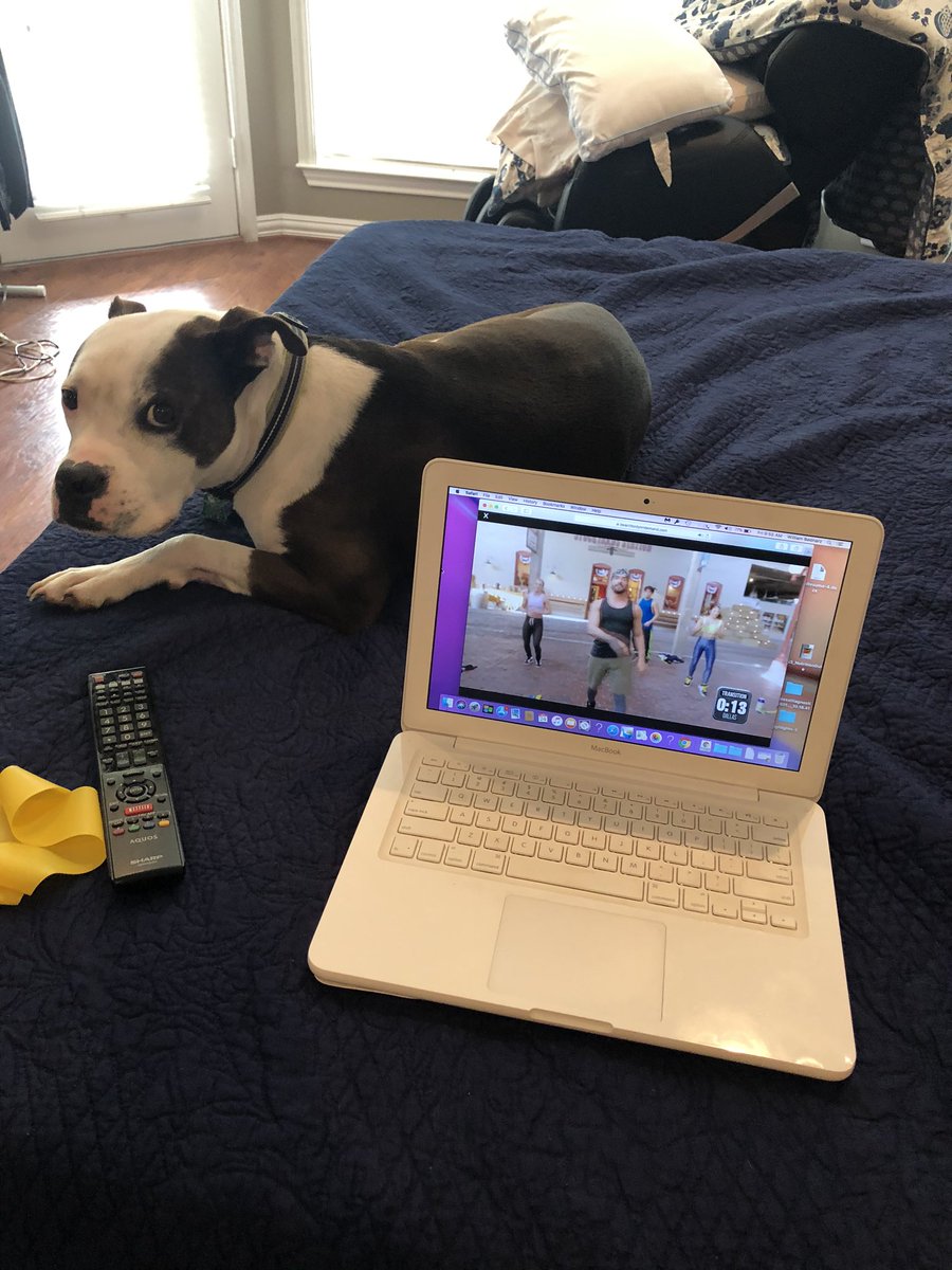 ckdefeo's tweet photo. My workout partner was slacking this morning.... https://t.co/L7jyTFlJOs