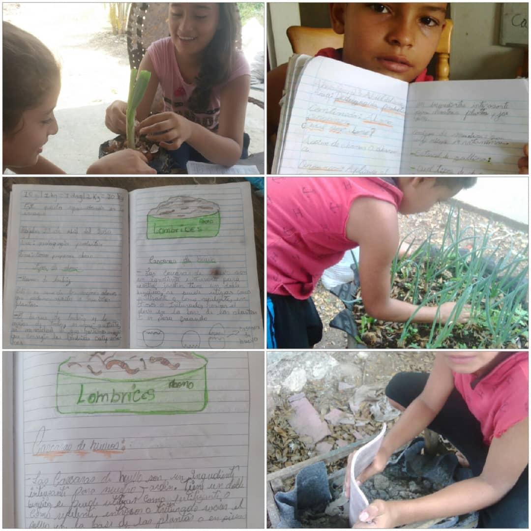 TÁCHIRA,  MCPIO  LIBERTADOR U.E.N ELI MEDINA #QuedateEnCasa #Tachira71AniversarioRevistaTricolor #TachiraCadaFamiliaUnaEscuela <a href="/charlychaves/">Charly Rojas Chaves</a> <a href="/Crazet2011/">Crazet2011</a> @MPPEDUCACION @ZonaEducTachira <a href="/psuvaristobuIo/">Aristóbulo Istúriz</a> <a href="/RosangelaOrozco/">Rosangela Orozco</a> @formacionzet