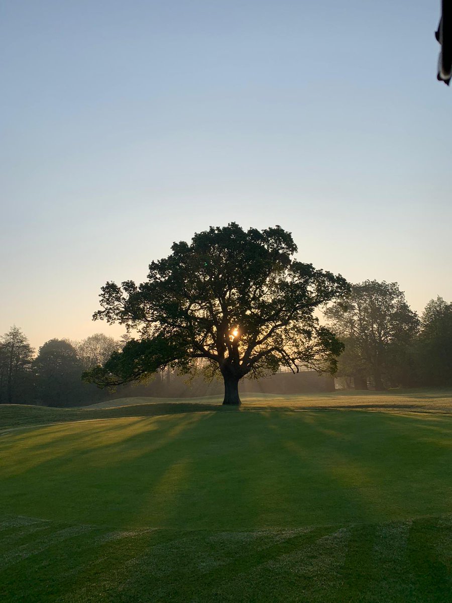 Yeovil_GC's tweet image. Here’s a few pictures at the end of a busy week. We hope all our members and followers are staying safe and keeping well. Looking forward to seeing you all soon. It’s not the same winthout golfer!! #staysafe