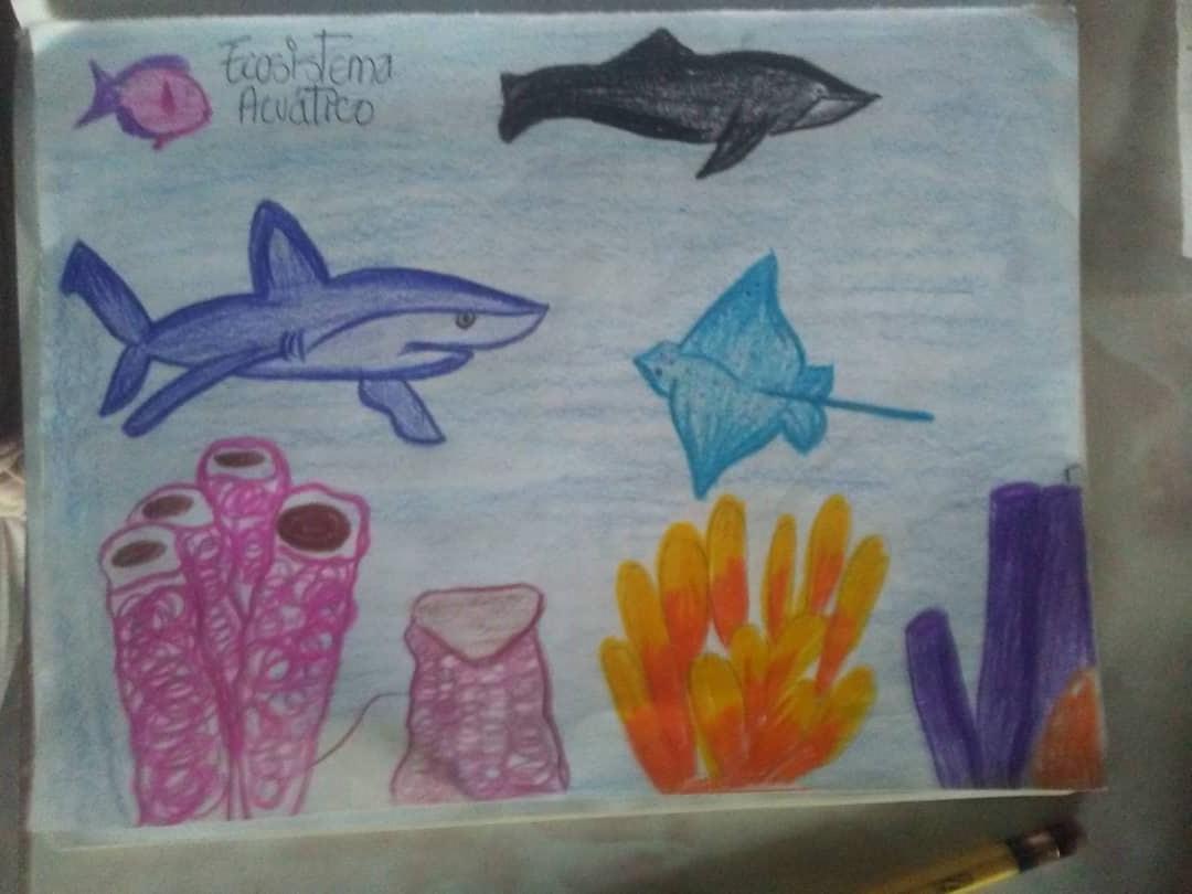 TÁCHIRA, MCPIO LIBERTADOR 
LICEO NACIONAL SAN JOAQUÍN DE NAVAY #QuedateEnCasa #Tachira71AniversarioRevistaTricolor #TachiraCadaFamiliaUnaEscuela <a href="/charlychaves/">Charly Rojas Chaves</a> <a href="/Crazet2011/">Crazet2011</a> @MPPEDUCACION @ZonaEducTachira <a href="/psuvaristobuIo/">Aristóbulo Istúriz</a> <a href="/RosangelaOrozco/">Rosangela Orozco</a> @formacionzet