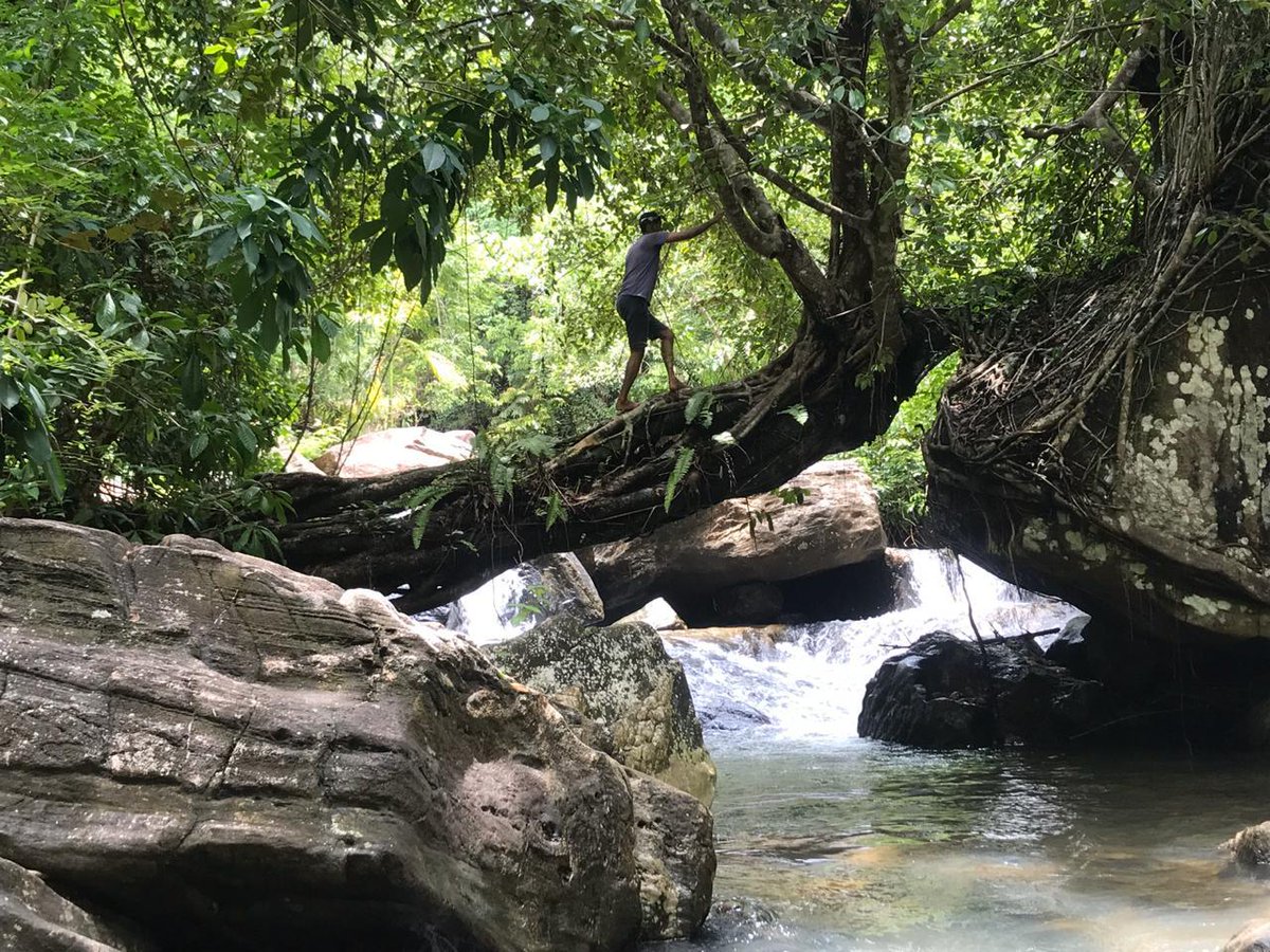 uMaiR0104's tweet image. මෙය වෙන කොහේවත් නොවේ මෙය අපේම "කෝටියකුම්බුර"

#hometown
#hiddenpool