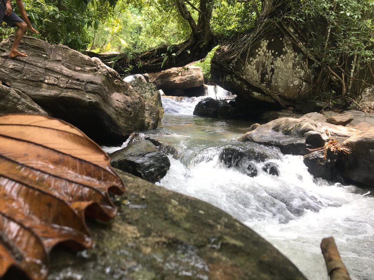 uMaiR0104's tweet image. මෙය වෙන කොහේවත් නොවේ මෙය අපේම "කෝටියකුම්බුර"

#hometown
#hiddenpool