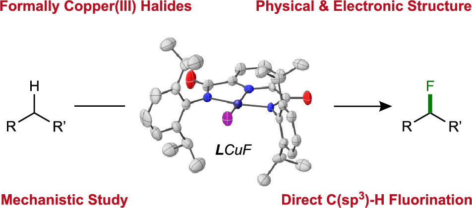 J. Am. Chem. Soc. (@j_a_c_s) on Twitter photo One complex does it all! <a href="/ZhangLabOSU/">ZhangLabOSU</a> and @SteiberLab report a formally copper(III) fluoride complex that performs both hydrogen atom abstraction and radical capture to fluorinate alkyl C-H bonds. acspubs.co/jvuy50znDZl One complex does it all! <a href="/ZhangLabOSU/">ZhangLabOSU</a> and @SteiberLab report a formally copper(III) fluoride complex that performs both hydrogen atom abstraction and radical capture to fluorinate alkyl C-H bonds. acspubs.co/jvuy50znDZl