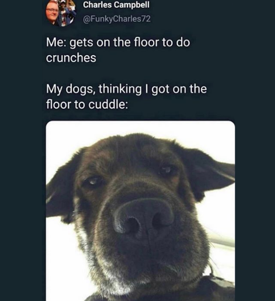 PinnacleOmaha's tweet photo. 😂😂 https://t.co/nsvAYdWiG6