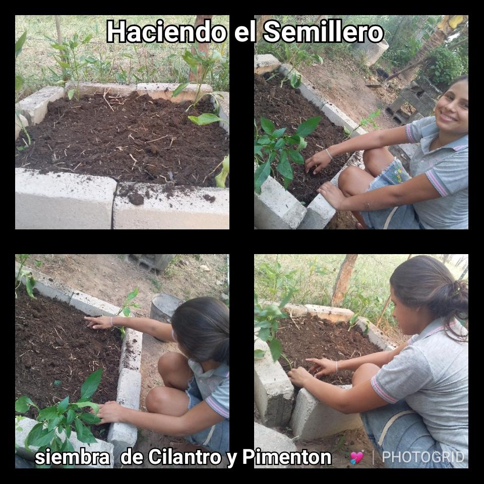 TÁCHIRA,  MCPIO  LIBERTADOR Liceo Nacional el Milagro #QuedateEnCasa #Tachira71AniversarioRevistaTricolor #TachiraCadaFamiliaUnaEscuela <a href="/charlychaves/">Charly Rojas Chaves</a> <a href="/Crazet2011/">Crazet2011</a> @MPPEDUCACION @ZonaEducTachira <a href="/psuvaristobuIo/">Aristóbulo Istúriz</a> <a href="/RosangelaOrozco/">Rosangela Orozco</a> @formacionzet