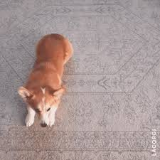 Fan2Chapi's tweet image. 