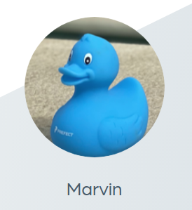 Marvin the rubber duck on their company page