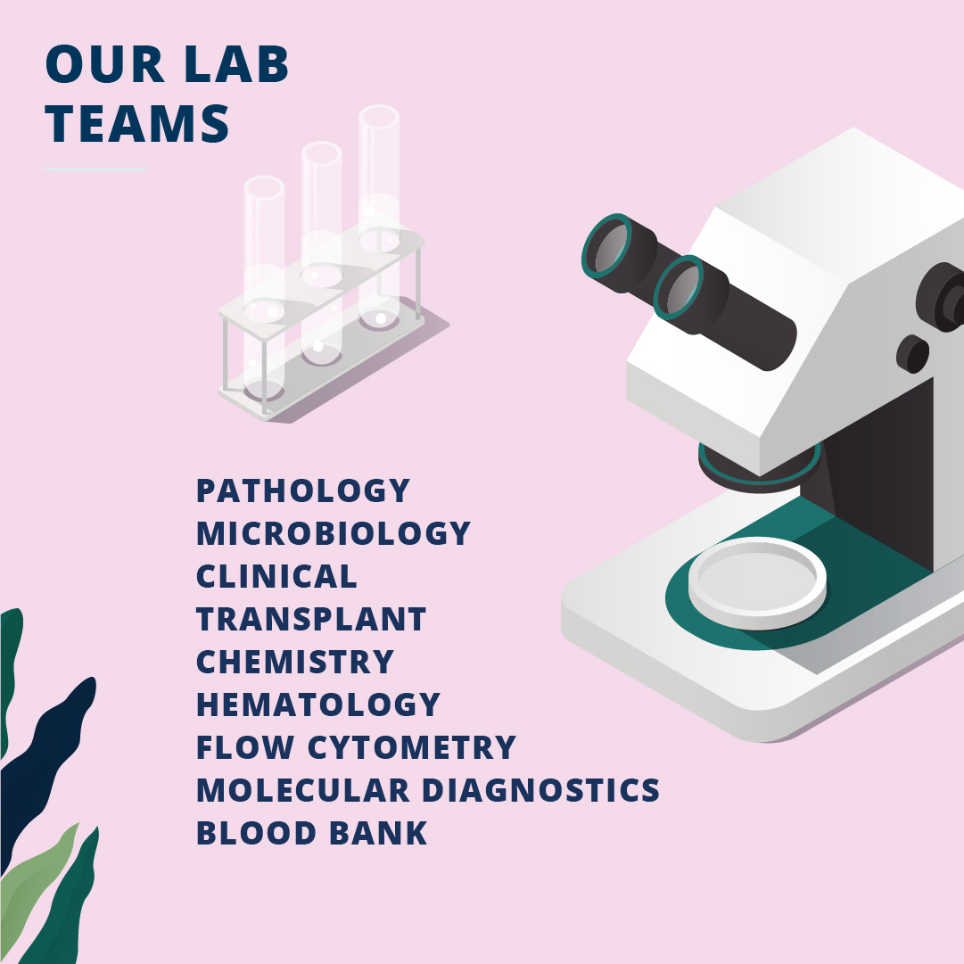 NorthsideCareer's tweet photo. It’s Medical Laboratory Professionals Week, so we are going behind the scenes to learn more about this crucial function at Northside! #LabWeek #LabWeek2020 #MedLabWeek #ASCPlabweek20 #NorthsideFamily @ASCP_Chicago https://t.co/V7uX04GzT8