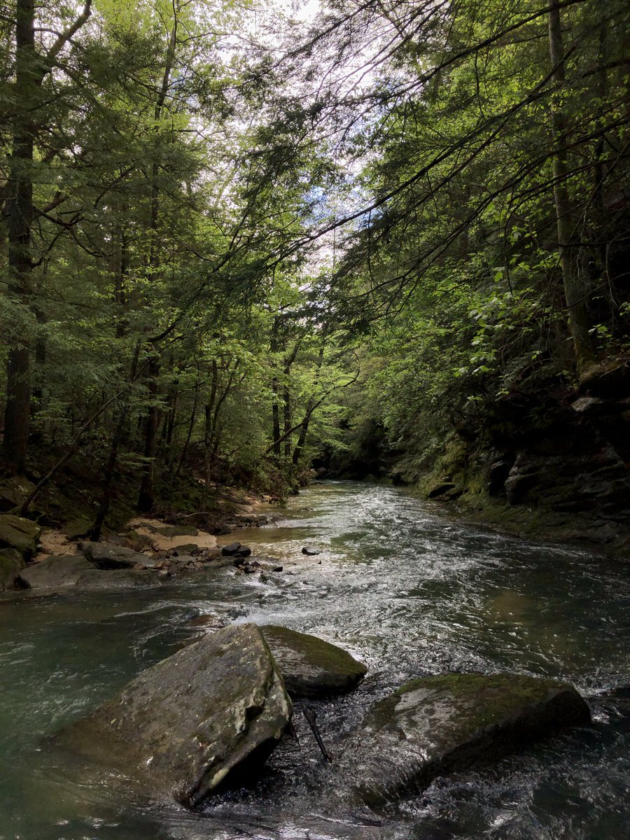 Allen_B__'s tweet photo. Kinlock Falls in Bankhead National Forest
#ALwx #Clouds #HikeAL https://t.co/sNiPRirYib