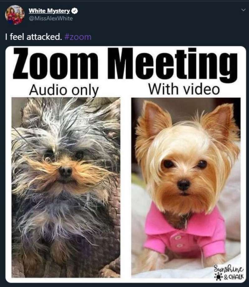 What is your Zoom meeting look - Polished and professional or video off?

#zoomsales #zoommeeting #remotesales