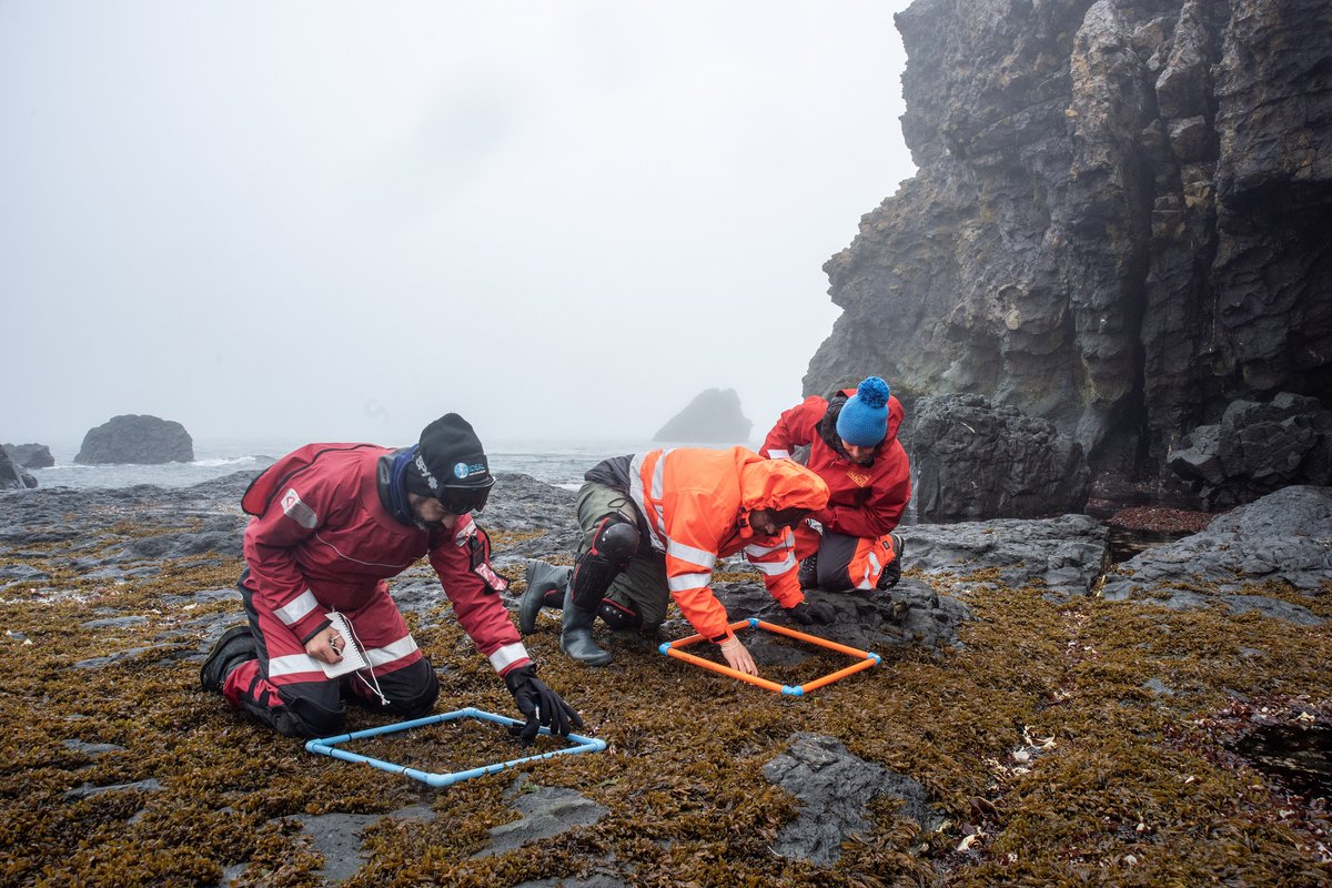 inach_gob's tweet photo. 📌 Un mundo en cambio al vaivén de las olas en el océano Austral 🇨🇱 🇦🇶 🌊 Entrevista al Dr. Erasmo Macaya
👉 https://t.co/VSwwRfvcOu
#Quedateencasa #Cuarentena #CentroIdeal #Patagonia #Chile @erasmomac @IDEAL_Centro https://t.co/MxlxhlQpa6