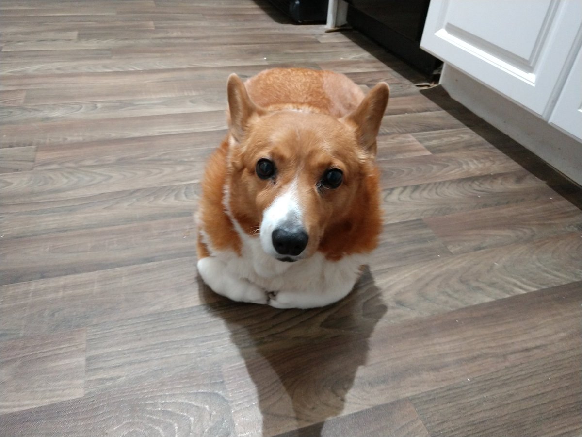 Bazo McLoafin' tweet media