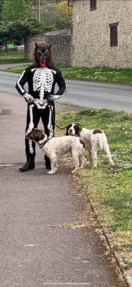 Steve is frightening the life out of his neighbours on his dog walk today 