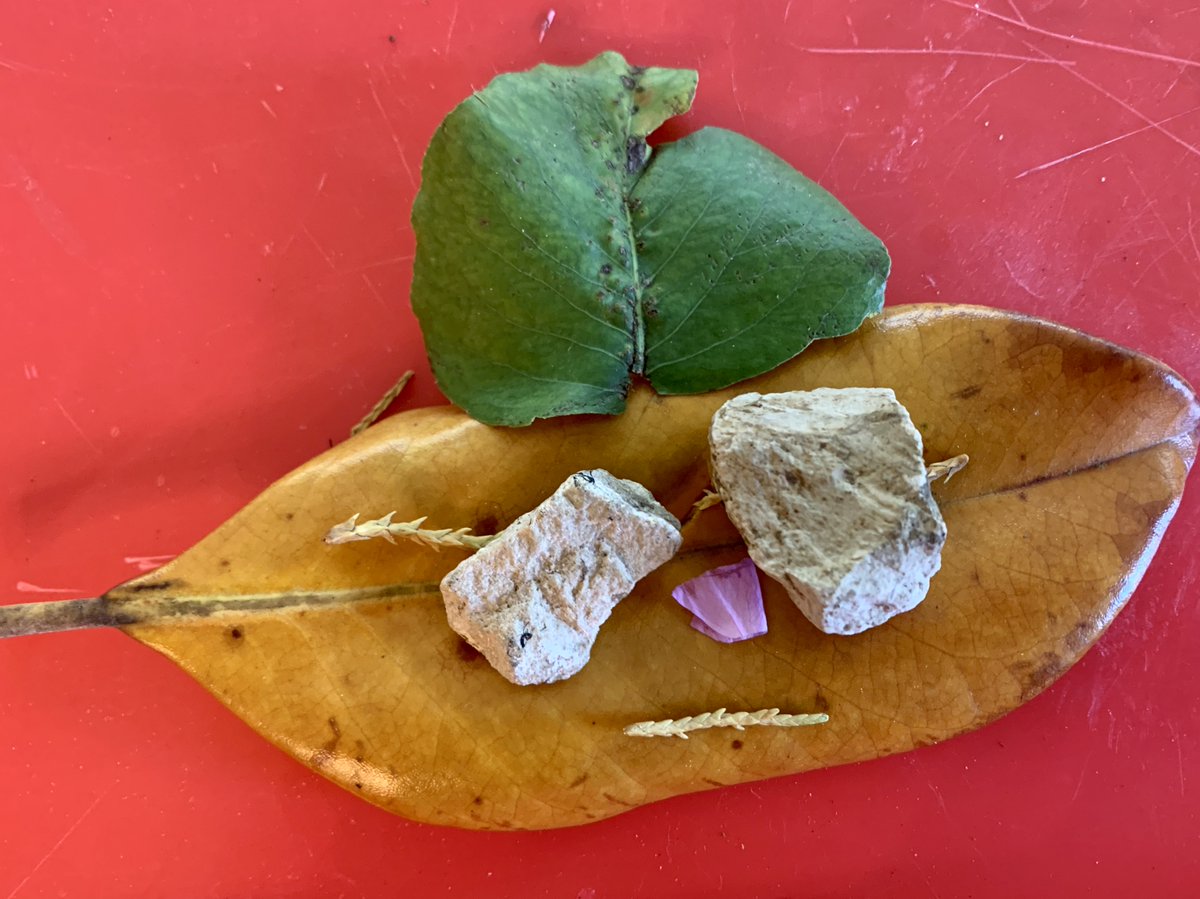 creativity_hive's tweet photo. Here are JUST A FEW of the AMAZING masterpieces created this week by @SpicewoodPYP artists inspired by this weeks theme of Nature to celebrate #EarthDay2020 I am SO #ARTteacherPROUD to see all the creative things you are up to while at home! #SWEScreates #RRSIDcreates @TXEart https://t.co/b4v6iRxwKq