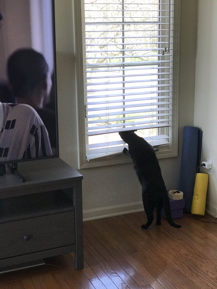 cwinter2's tweet image. Ann Arbor