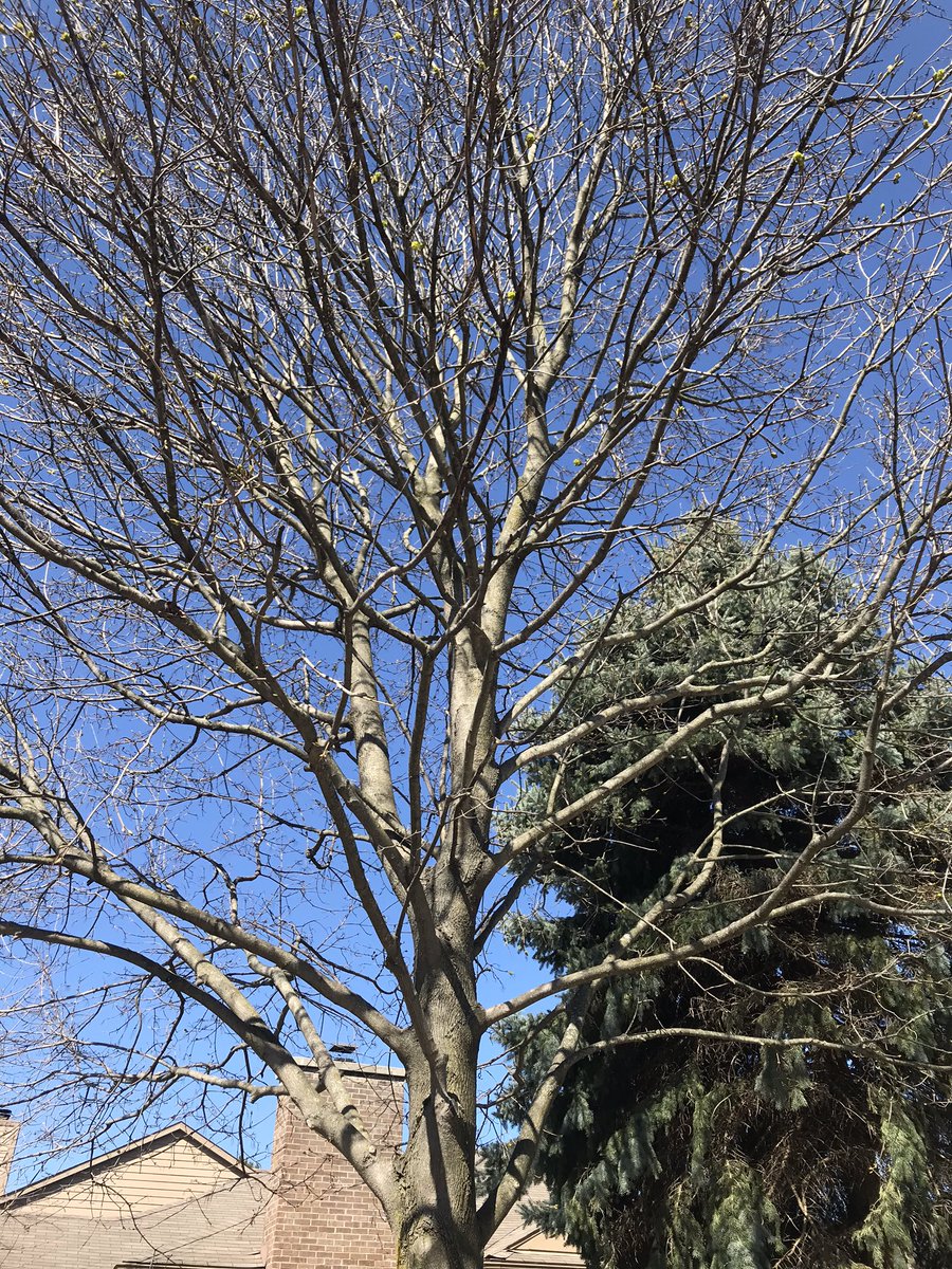 cwinter2's tweet image. Ann Arbor