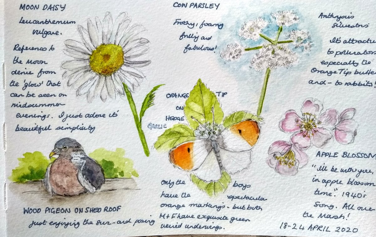 Jules Woolford tweet media