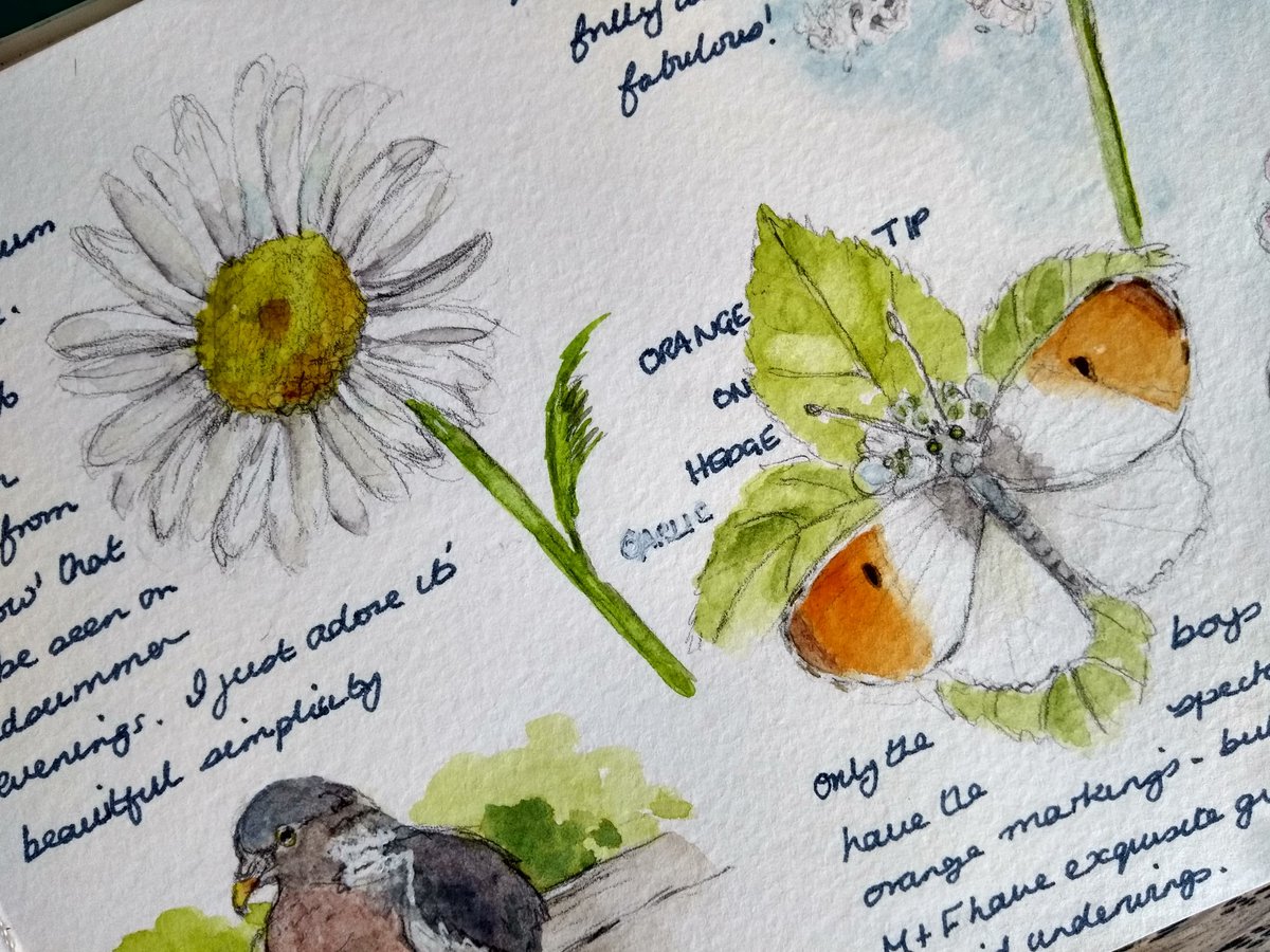 Jules Woolford tweet media