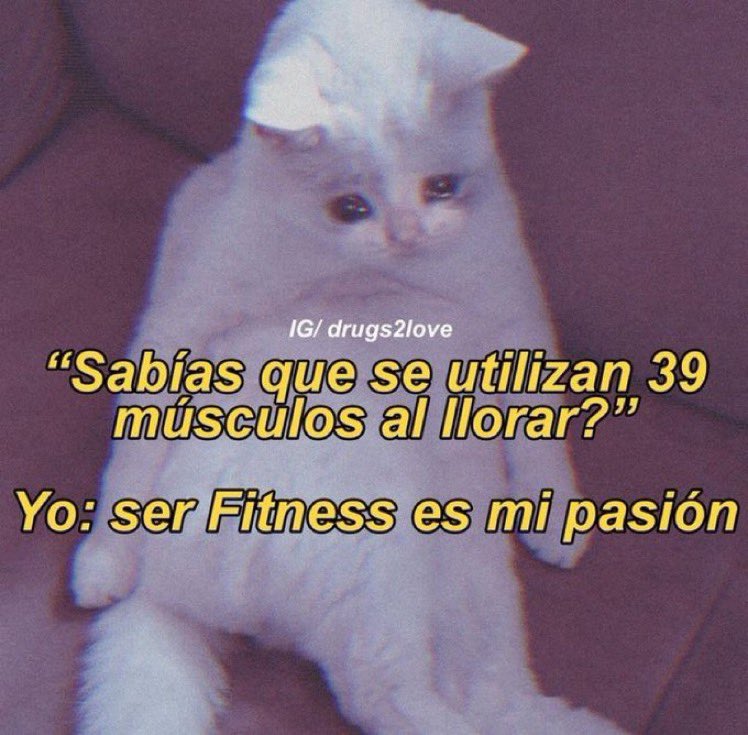 skereunpesado's tweet photo. https://t.co/lHdsyCHhXl