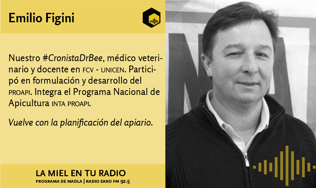 LaMielEnTuRadio's tweet photo. El 25/4 nuestro cronista #drbee Med. Vet. Emilio Figini en @LaMielEnTuRadio nos cuenta la importancia de la planificación de cara al futuro - Parte II
#quedemonosencasa #abeja #planificación #ambiente #miel #colmena #biodiversidad #apicultura https://t.co/9ftqIxPuIH