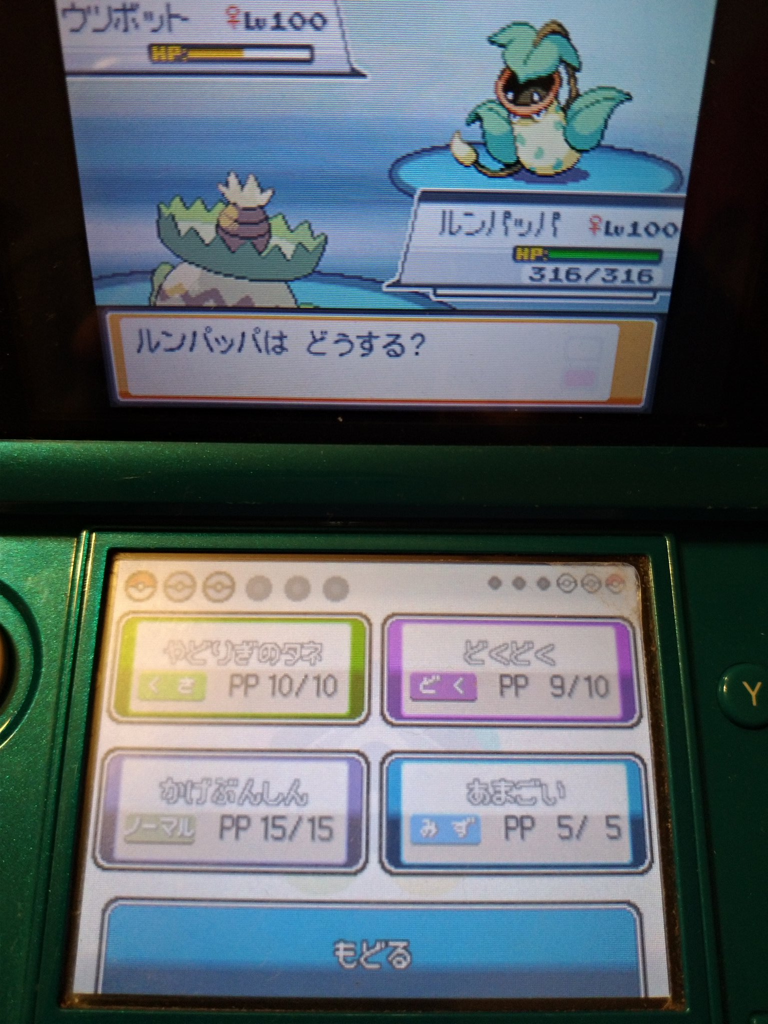バトルファクトリー 隠れ強ポケtop3 オープン1 2周目 さに丸紀行