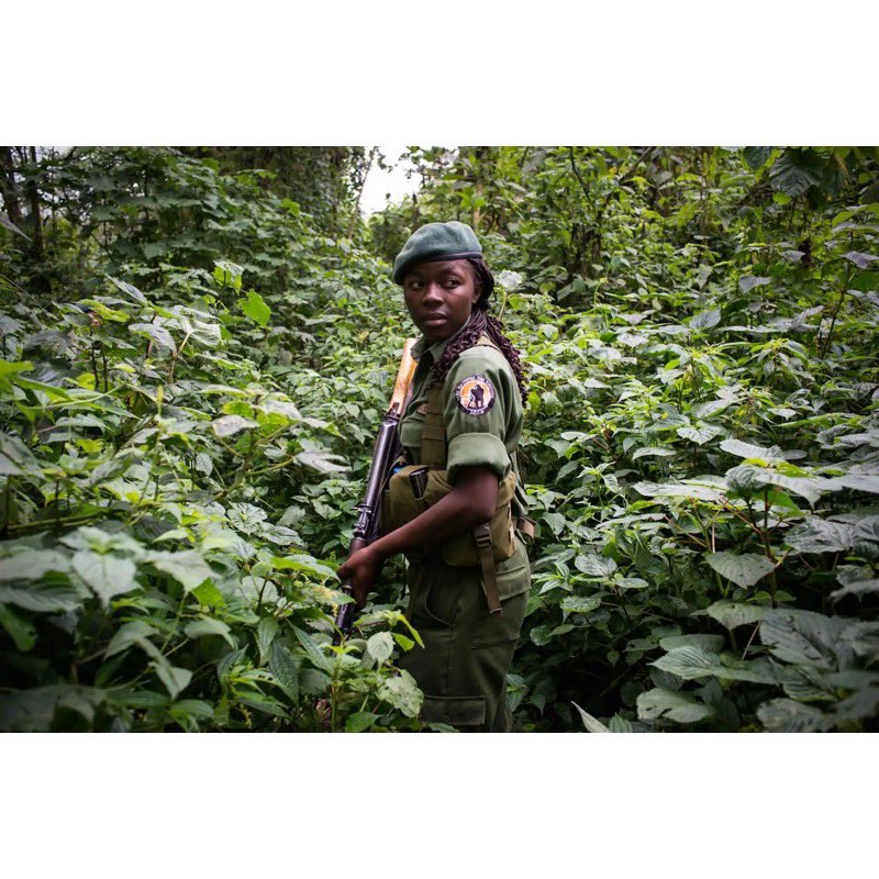 3. The rangers and staff at Virunga are incredibly passionate about what they do and they know they could be killed for doing what they care about. As one ranger said, he always wanted to work as a ranger because “I wanted to protect the gorillas, who are our neighbors.”