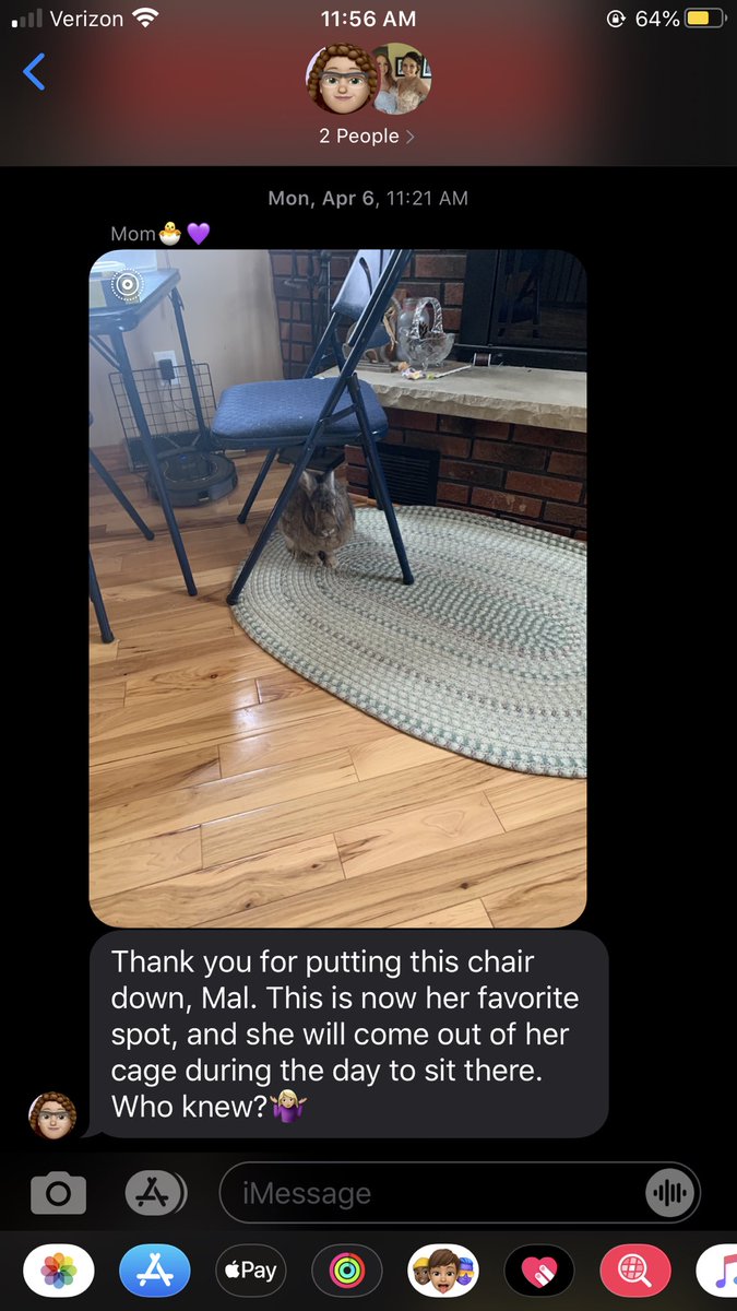 Maddy__Knight's tweet photo. Meanwhile, in my parents’ living room, their rabbit is experiencing its first heartbreak https://t.co/ttdKSQl3YY