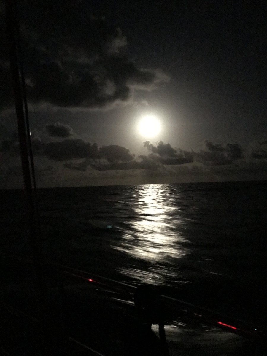 AngelaSails's tweet photo. St. George (Grenada) to Horta (Azores) – Week 1 https://t.co/NjrJfOpGJ6 https://t.co/Dx9Vuhh1ao