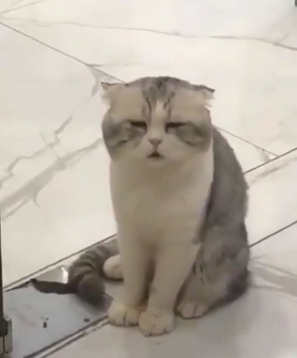แร้วแต่ป๋อ (@maidaiship) on Twitter photo 