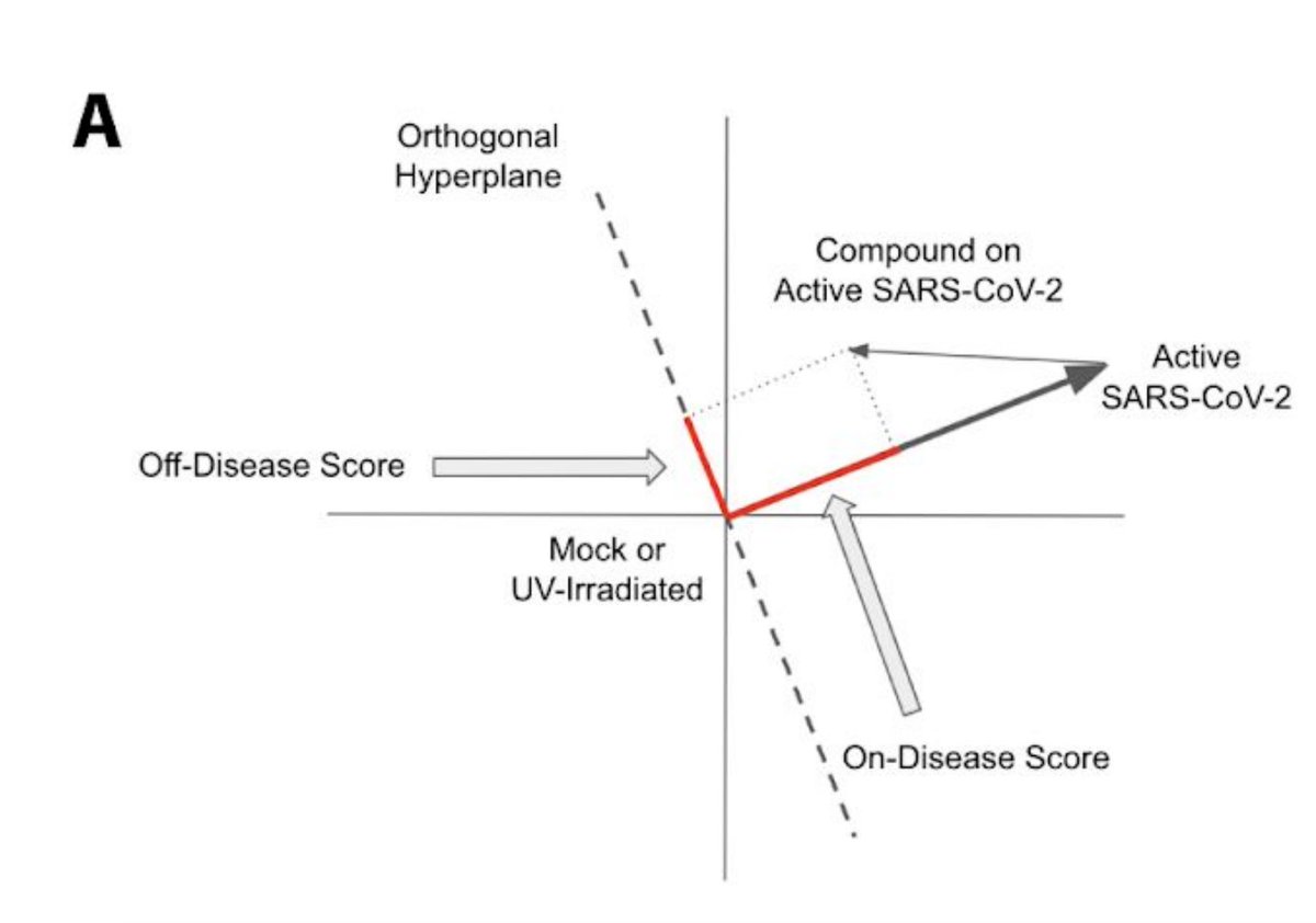 5/n: Finally, these models were projected against 2 axes. X-axis: a quantitative phenotypic score of C19Y-axis: a quantitative phenotypic score of C19 independent toxicity