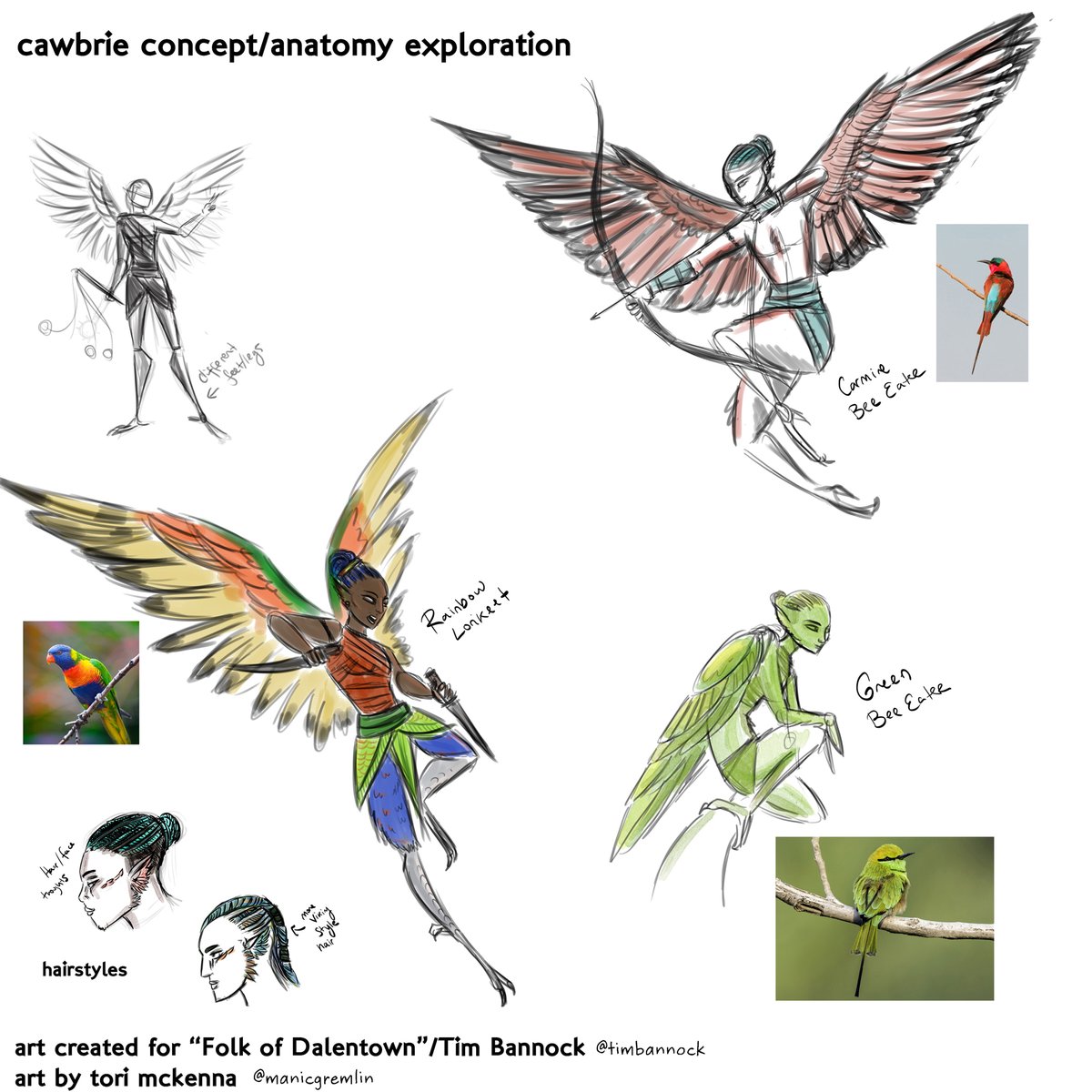 The cawbrie are the bird people and i gravitated to the concept immediately b/c I'm an ornithology nerd. There's supposed to be two variants of these which are based on their environment so I initially was looking at bird families that encompass several ecological niches