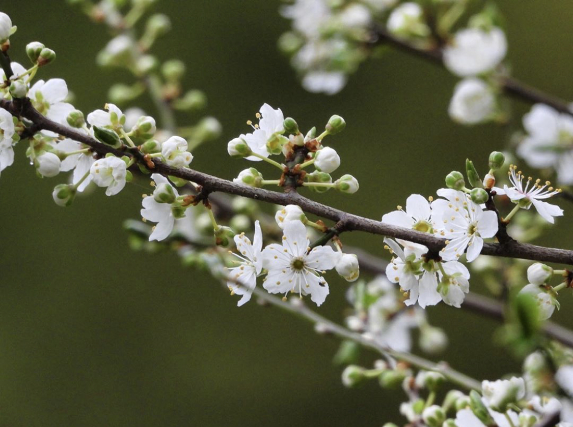 Tourism Delta tweet media