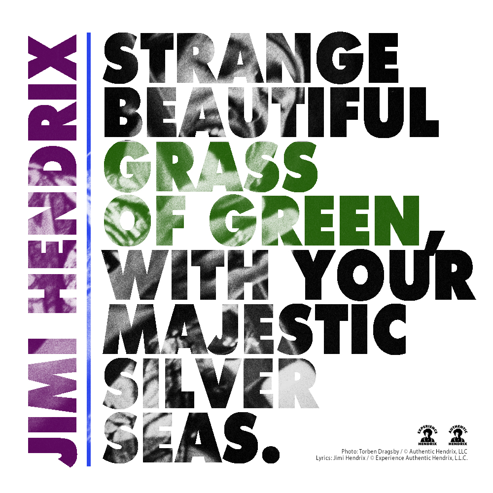 JimiHendrix's tweet photo. “Strange beautiful grass of green,
with your majestic silver seas.”

~ #JimiHendrix

#ThirdStoneFromTheSun #Hendrix #AreYouExperienced #Lyrics #LegendaryStories #MusicFromBeyond #Earth https://t.co/WB9vYvLhk2