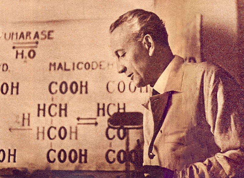 Vitamin C and cancer. I wrote this quite a time ago. Still, there is more confusion about vitamin C than ever. If you want to read science instead of science fiction.
paleomedicina.com/en/vitamin_c_c…