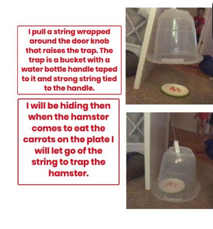 MillerSciSpdway's tweet photo. Here are some of the awesome traps to help me catch my missing hamster! #TallyBEST #KISDBEST #STEMifYourLifeKISD #VirtualKISD https://t.co/Aepf7LYybE