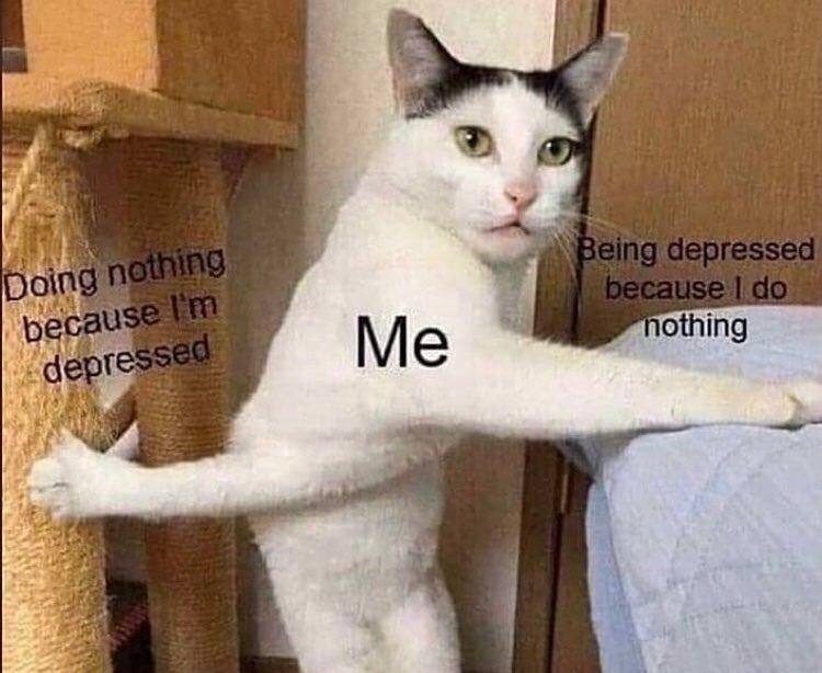 Suicidal Pepe (@imsuicidalpepe) on Twitter photo 