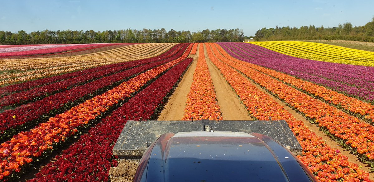 Mark Eves tweet media