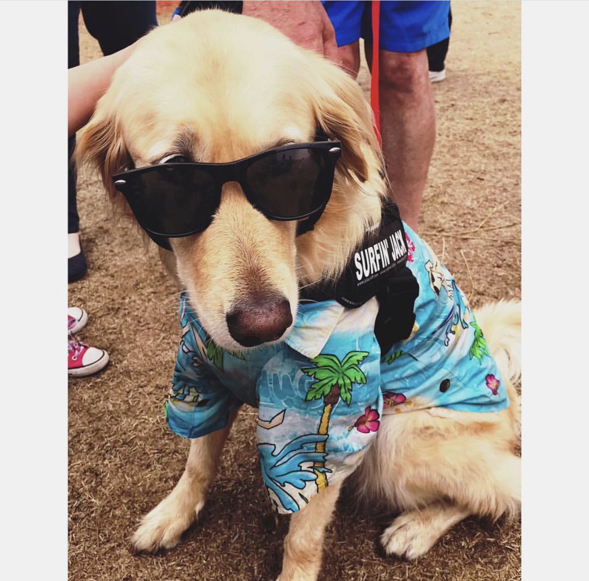 I’d say “TGIF” but do the days of the week even matter anymore?! 🗓