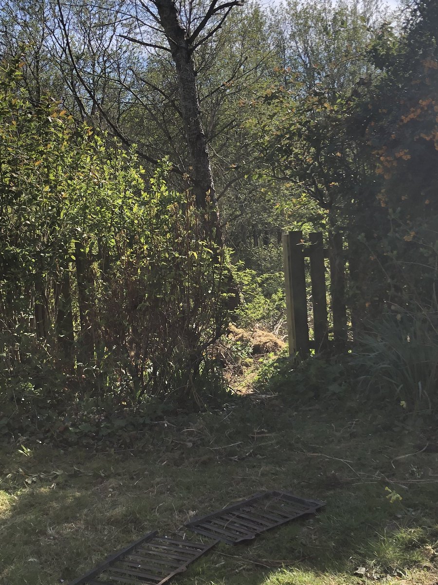 SusanJonesArts's tweet photo. The #magicgate from our garden into the wild wild territory beyond where there be bitey wood ants a plenty and all. https://t.co/bW1lLsN0bt
