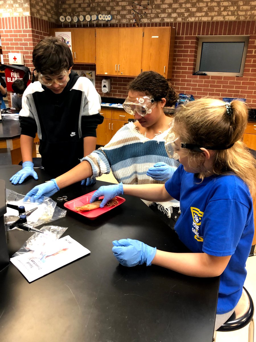 Dissections at Marine Science Camp this summer... Awesome! Discover the lure of the ocean - the weather, animals and plants, the secrets to navigation, and the amazing creatures of the deep. More information and camper registration is available at paceacademy.org/programs/summe…