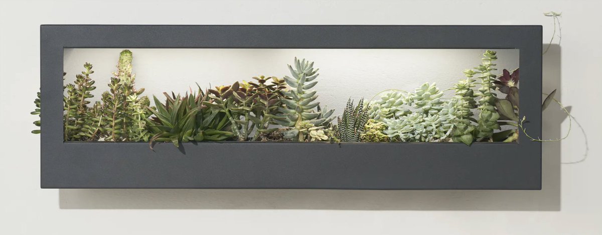 MiaLewin's tweet photo. Quarantine Tip (3) for the 8th week-end in lock-down: garden your own art - NEW on Spruce Up: https://t.co/masbKtBQ6q https://t.co/ehn2jZrrVA