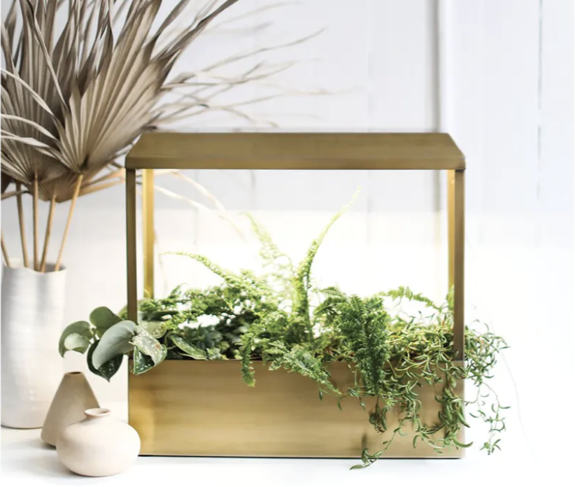 MiaLewin's tweet photo. Quarantine Tip (2) for the 8th week-end in lock-down: How to bring joy back home : become a pro in growing your own herb garden - NEW on Spruce Up: https://t.co/NhQ0jaAf1x https://t.co/F7n8FblGEy