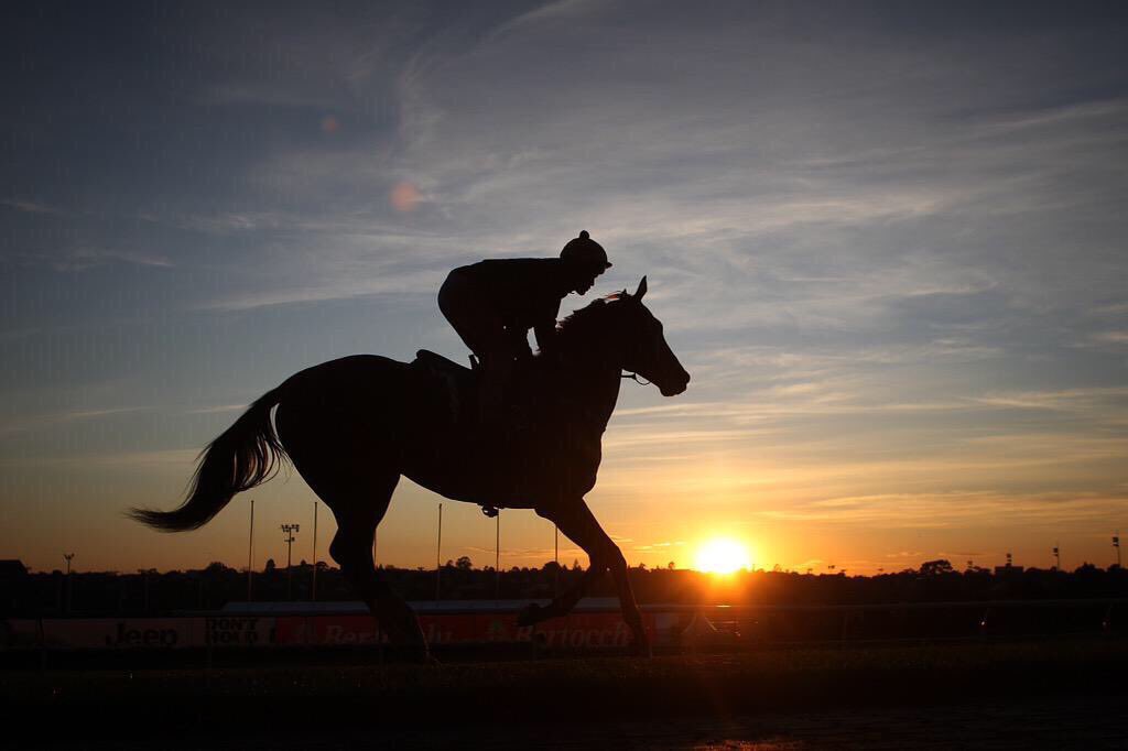 TheValley's tweet photo. #LestWeForget https://t.co/izbdkSTJL6
