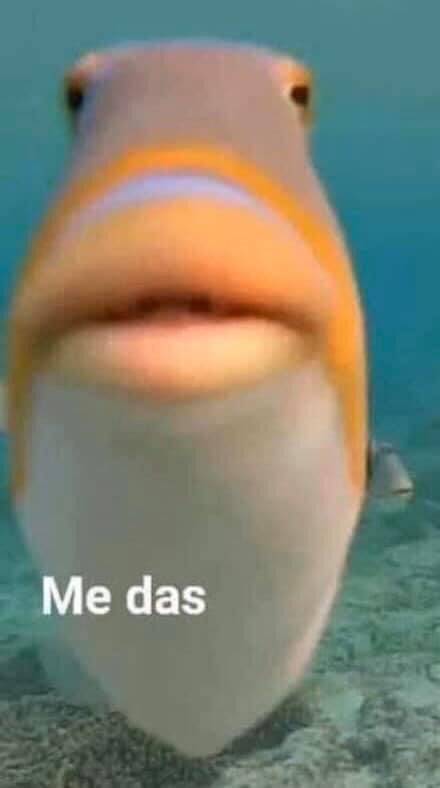 Ospinamaicol_'s tweet photo. Yo, después de ver el pack filtrado de Aron piper. https://t.co/TrfYGU6tYH