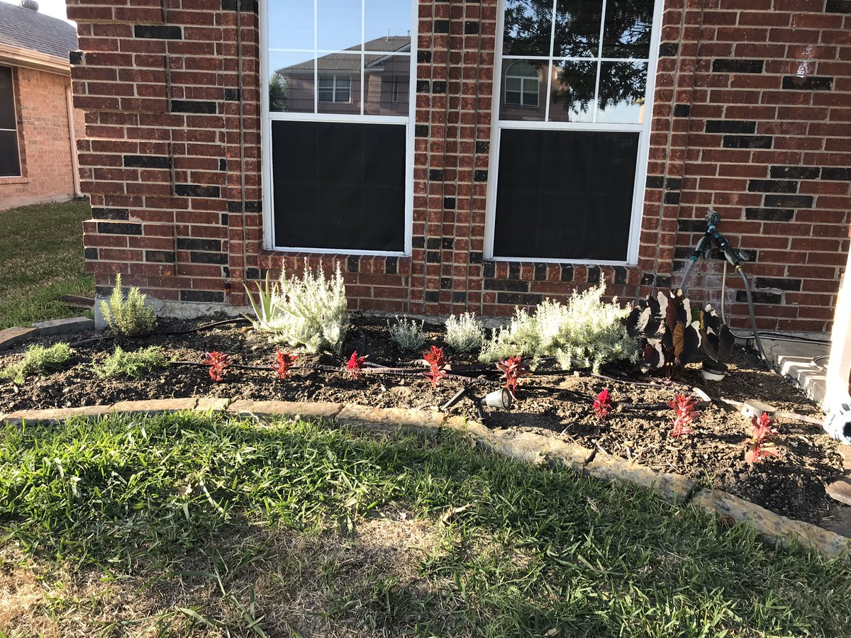 This was my #gisdfunfriday project with my hubby. Got the front flower beds ready for the summer!! #greenthumb #GISDAlwaysConnected <a href="/GISDhealth/">GISD Health Services</a> <a href="/Bullock_Bears/">Bullock Elementary</a>