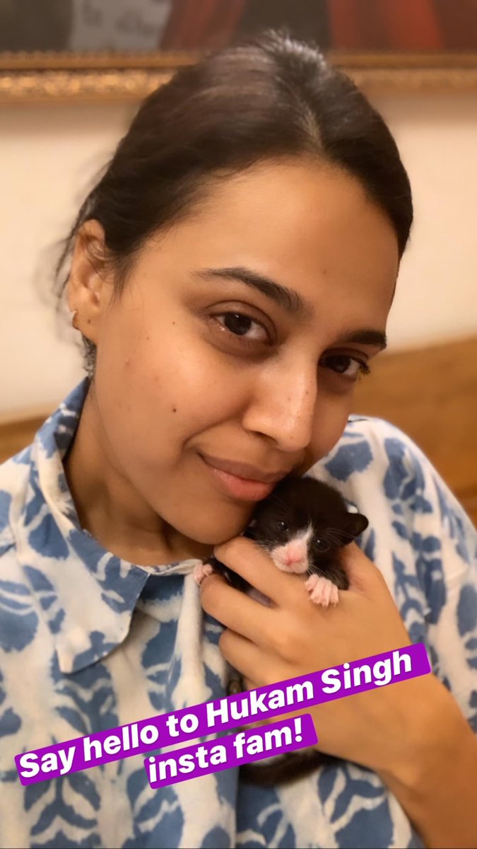 Say hello to Hukam Singh! Two weeks old.. abandoned kitten. Found yesterday.  #RescueMission #HukamSingh