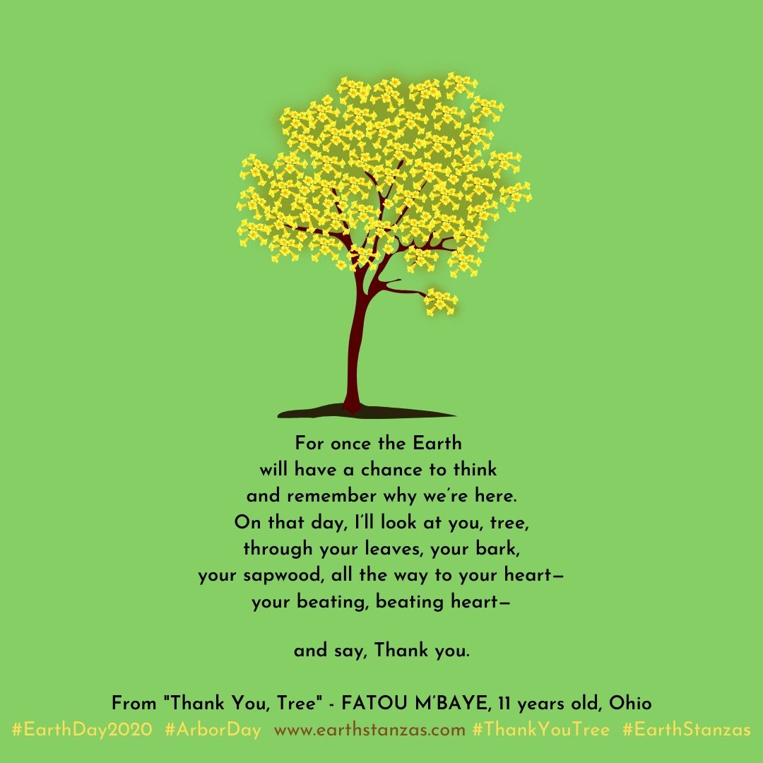 EarthEthicsCtr's tweet photo. Thank You, Trees... #ThankYouTree #EarthStanzas
https://t.co/n82v7I8osG @EarthDayNetwork #ArtistsForTheEarth #EarthDay2020 #ArborDay #poetsforscience @WickPoetry #ListentotheChildren #poeticvoice #poetry https://t.co/A647bzkG8M